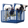 vcp4_ag-cow