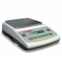 vesy-axis-adz-10c-iiikl-10000-2-01g-195h180mm